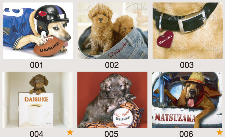 dogimage
